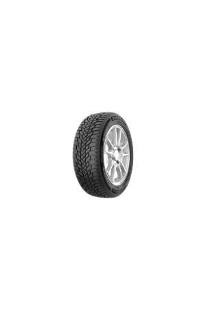 Petlas 195/55 R16 Tl 87H Snowmaster 2 Petlas Kış Lastiği (2023 Üretim)